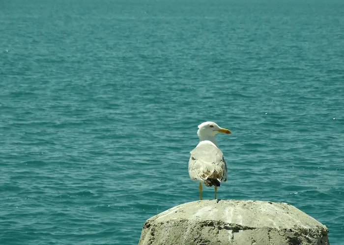 Rainbow 1 Complex 公寓式酒店 阳光海滩