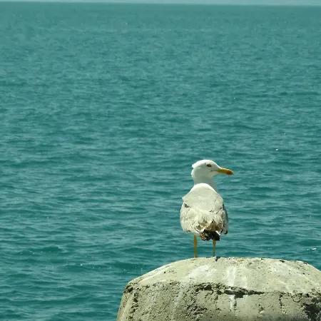 Rainbow 1 Complex Apartmanhotel Napospart